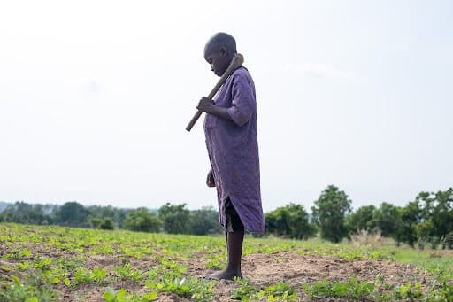 A person stands barefoot in a field holding a wooden tool over their shoulder, surrounded by green plants and an open sky.